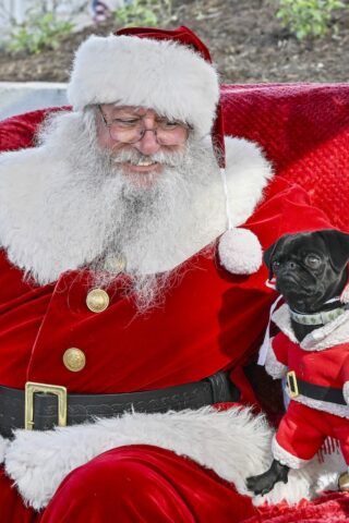 The 'Holly Jolly' Holiday Market