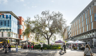 How to spend a great day in North City