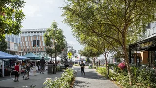 North City LIVE: Free outdoor concert series happening in San Marcos
